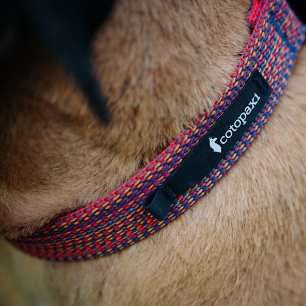 Del DIa Dog Collar