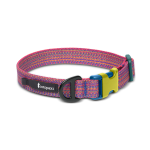 Del DIa Dog Collar