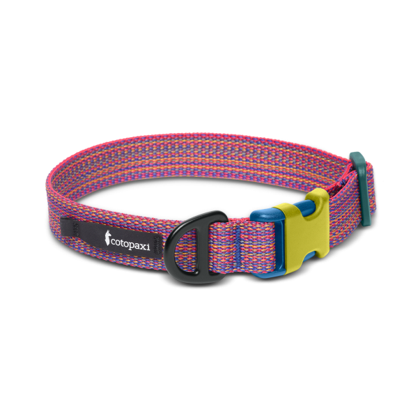 Del DIa Dog Collar