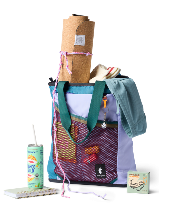 Todo 22L Convertible Tote - Del DIa